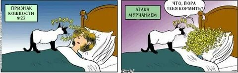Что то мохнатое с жадным урчанием