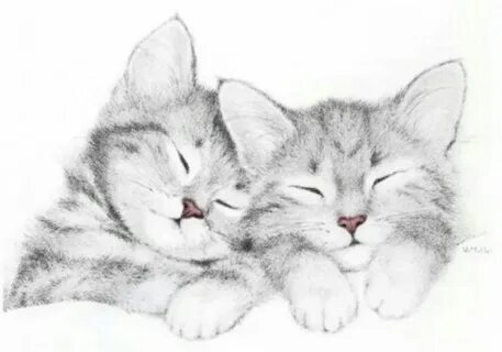 2 котика рисовать