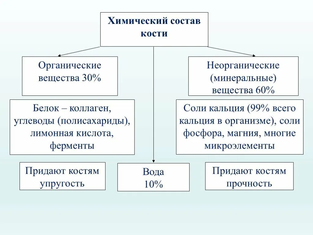 Какое свойство придают костям минеральные вещества. Состав кости органические и неорганические вещества. Минеральные соли придают кости. Что придают костям соли кальция. Минеральные вещества придают кости.