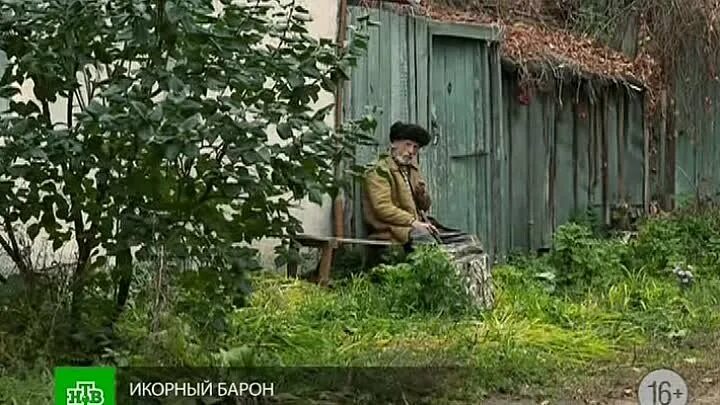 Икорный барон. Икорный барон. Икорный барон воронеж. Икорный барон с павлом вишняковым. Икорный барон.