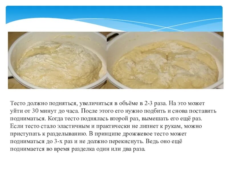 Тесто в воду опустить. Тесто. Дрожжевое тесто. Тесто на дрожжах. Неполнявшееся дрожжевое тесто.