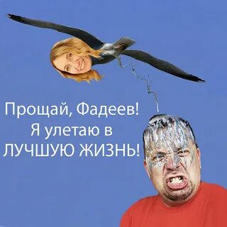 Чайка менеджмент
