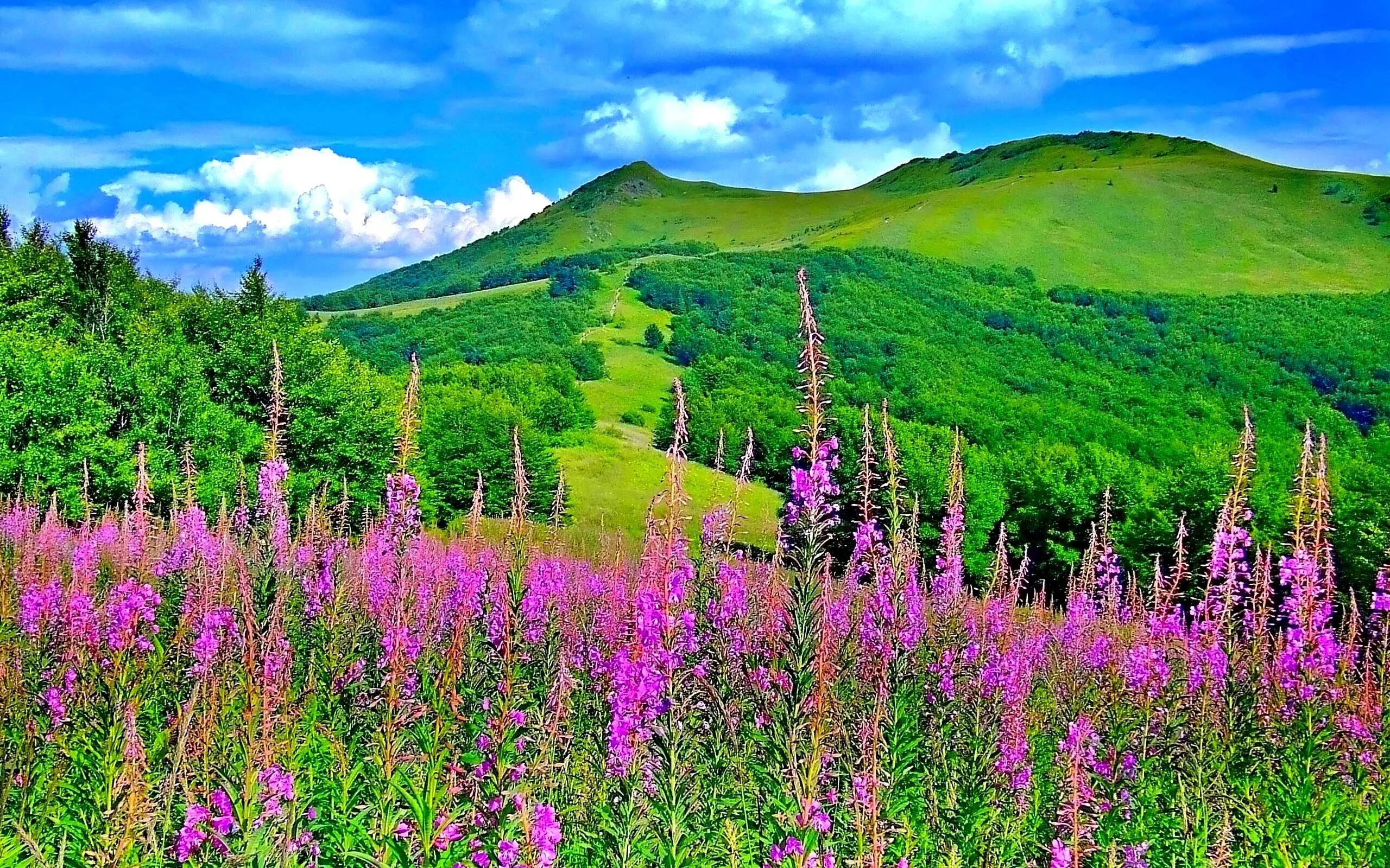 Spring scenes