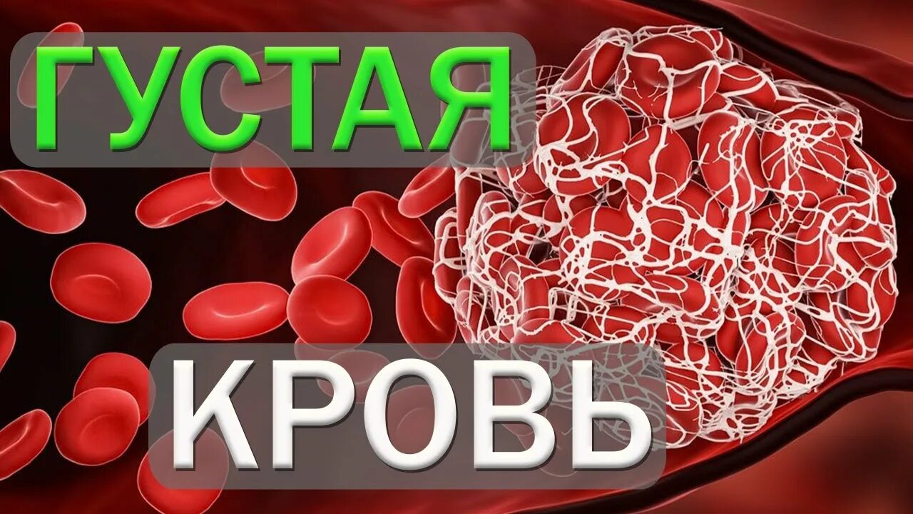 Густая кровь что принимать