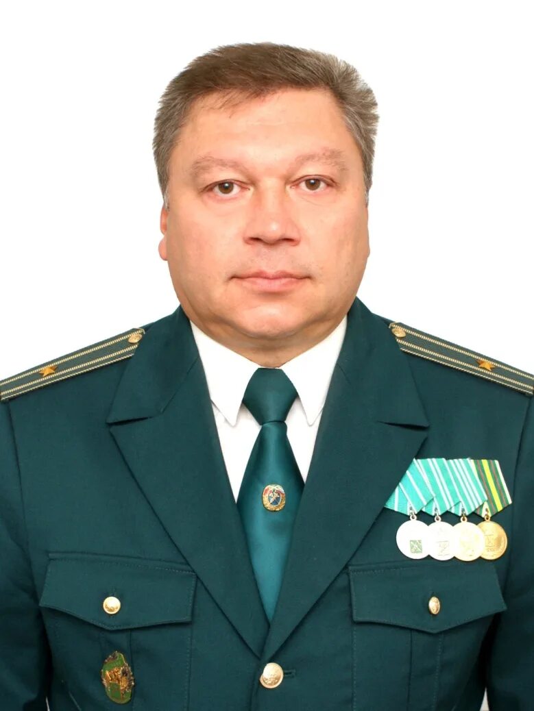 б и горошков. зеленый горошек овощ в помощь 420гр. Yashil no'xat. б и горошков. электронная техника книга.