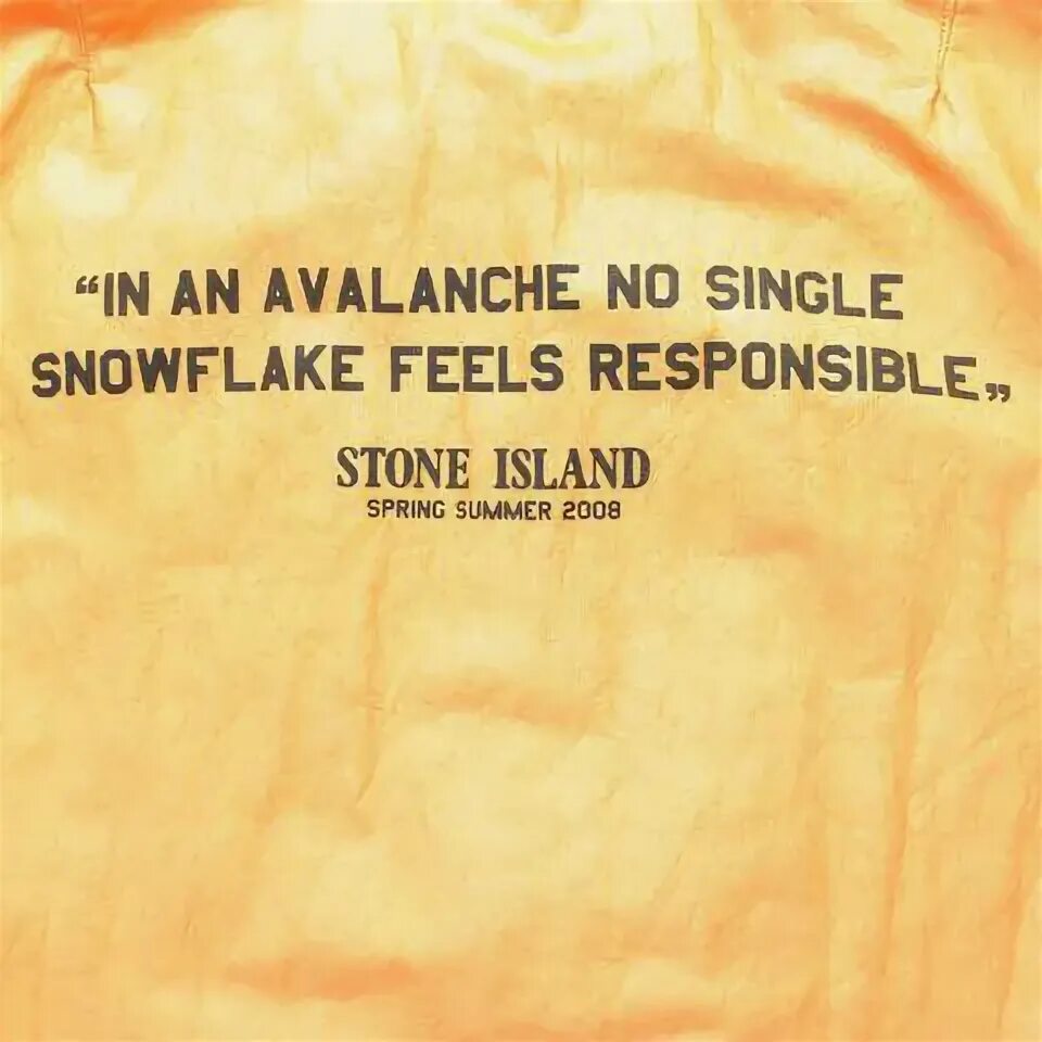 Feel stoned. Stone Island Snowflake 2008. Stone Island Snowflake. In an Avalanche no Single Snowflake feels responsible перевод.