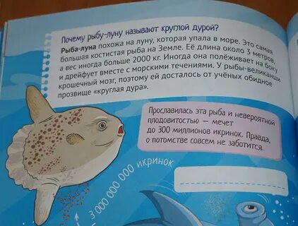 100 детских почему