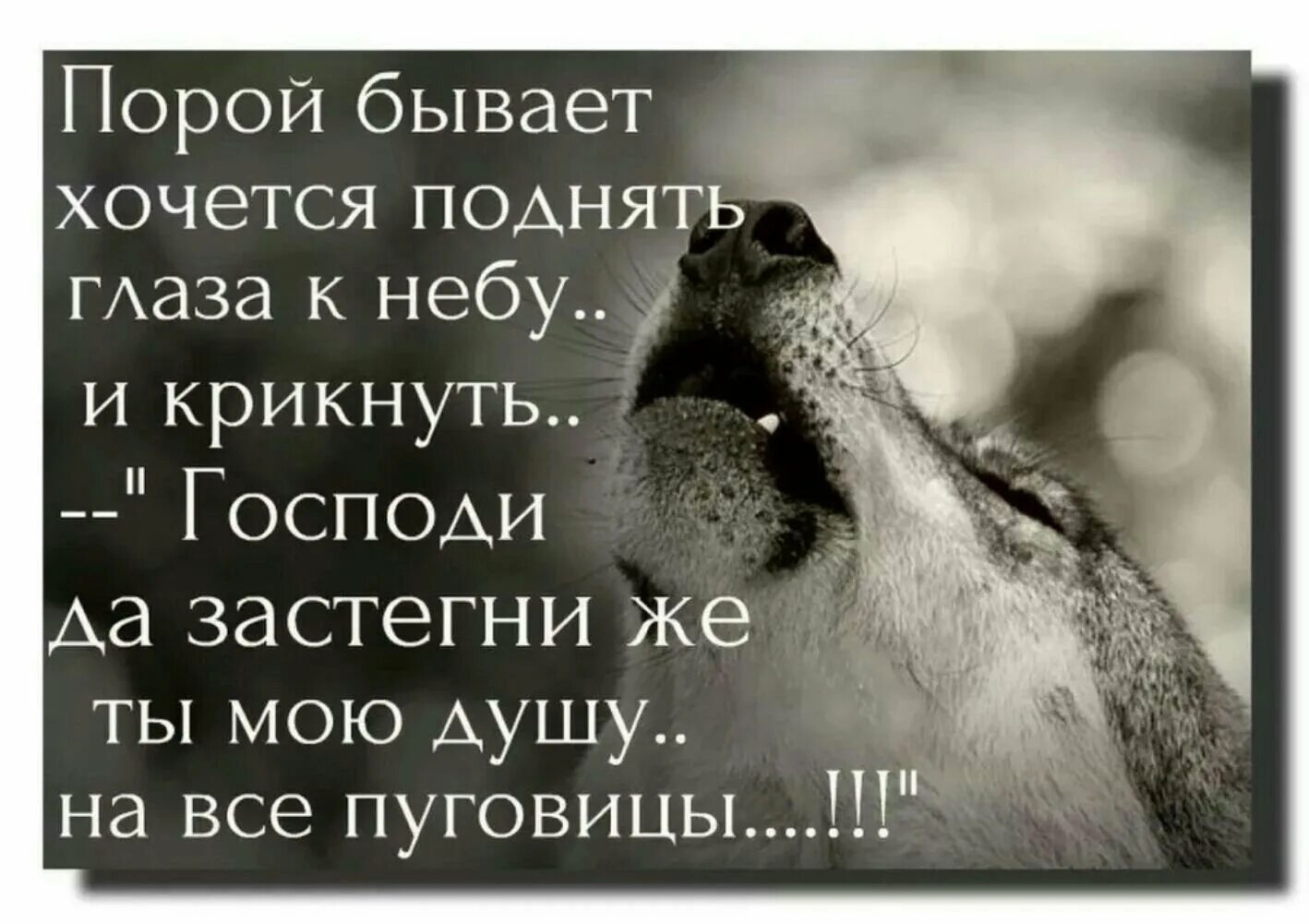 Стихи про депрессию. Мне старый человек сказал и я навек запомню эту фразу. Ты знаешь порой. Я до сих пор люблю тебя цитаты. Депрессивные стихи.