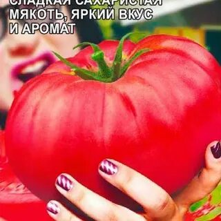 Томаты жрица описание сорта отзывы