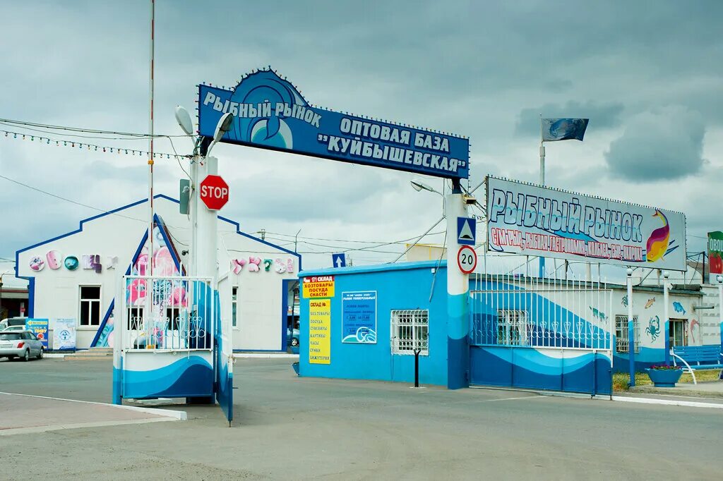 левобережный рынок омск. левобережка рынок в новосибирске. рыбный рынок на волгоградской омск. китай город омск рынок. китайский рынок омск.