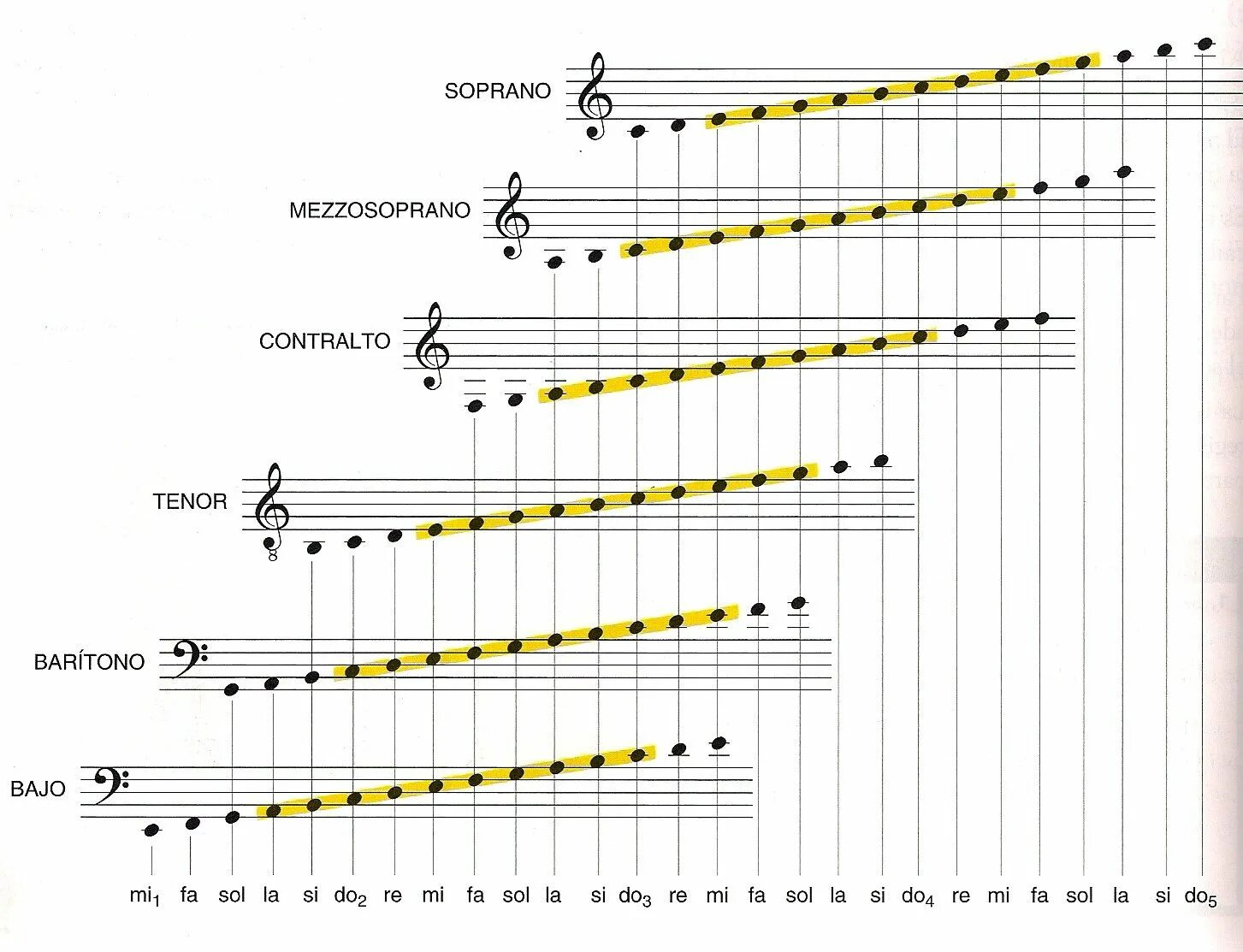 Определение басс. Диапазон флейты на нотном стане. Бас баритон тенор диапазон. Диапазон кларнета на нотном стане. Диапазон скрипки на нотном стане.