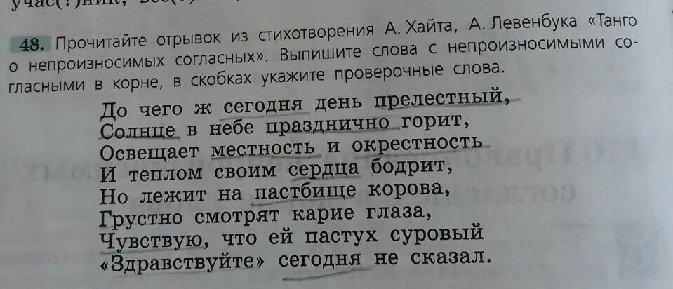 Как понять отрывок стихотворения. Прочитай отрывок из стихотворения. Шуточное стихотворение а Хайта. Стишок из разносклоняемых слов. Пословицы с разносклоняемыми существительными 5 класс.