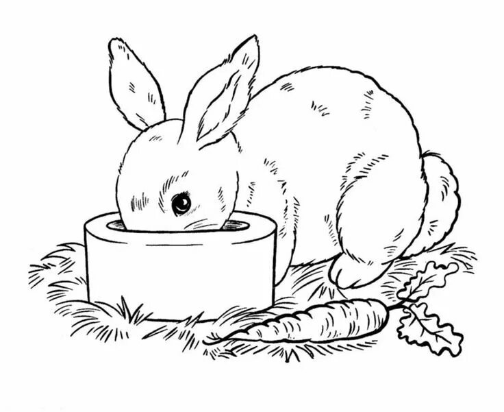 Printable Rabbit Coloring Pages for Toddlers