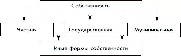 Частная государственная муниципальная и иные формы собственности. Формы собственности в РФ схема. Виды собственности частная государственная муниципальная. Формы собственности государственная муниципальная частная различия. Национальная форма собственности