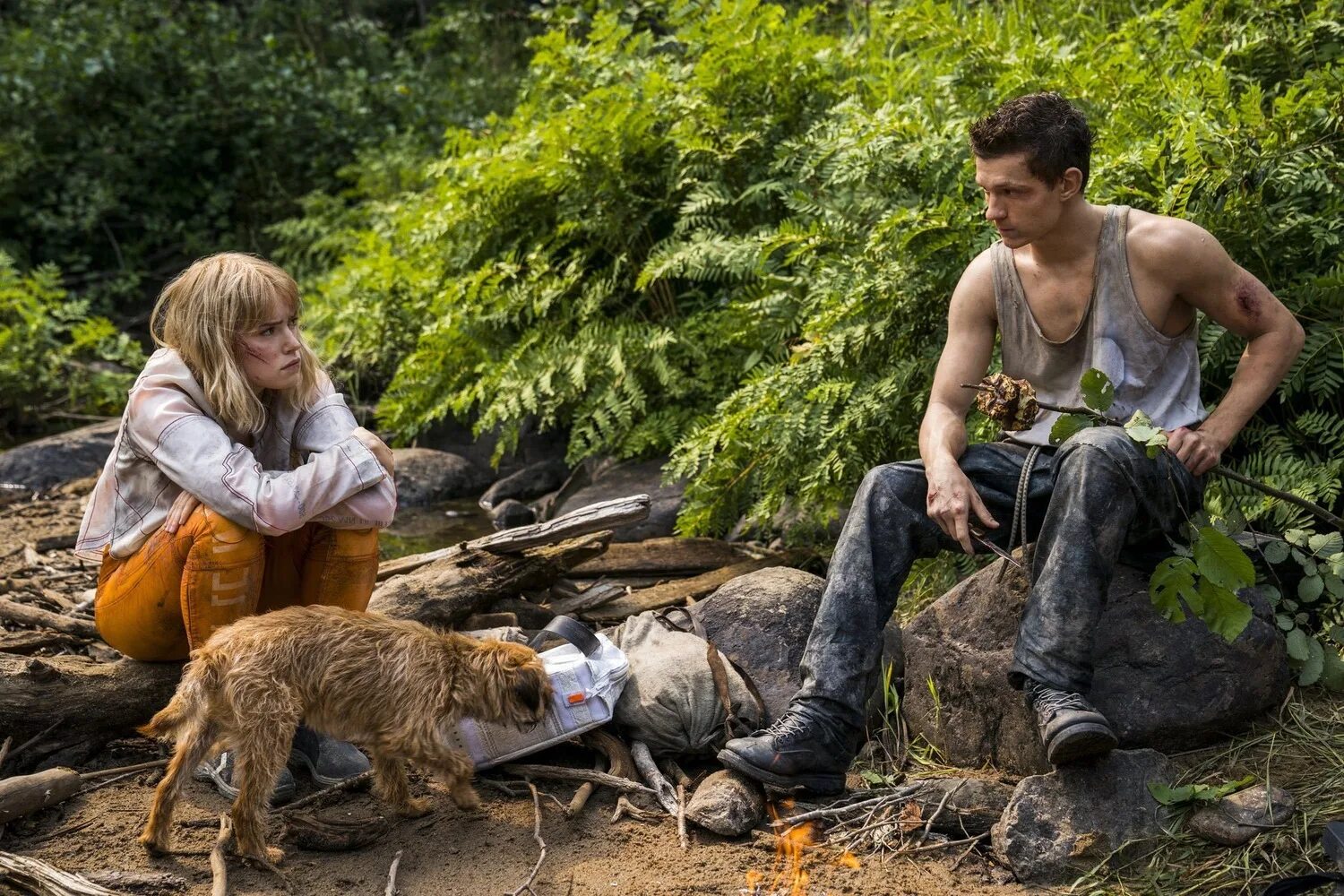 Том холланд поступь хаоса. Поступь хаоса постер. Кино поступь хаоса 2021. Поступь хаоса. Поступь хаоса 2021.