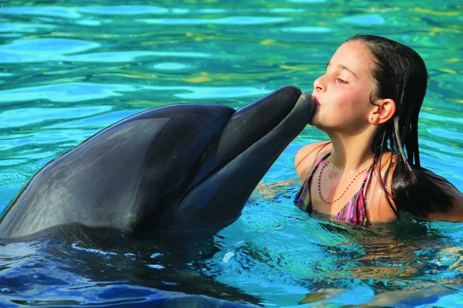 Есть ли дельфин людей. Дельфины. А дельфины добрые. Дельфины фото. Человек Дельфин.
