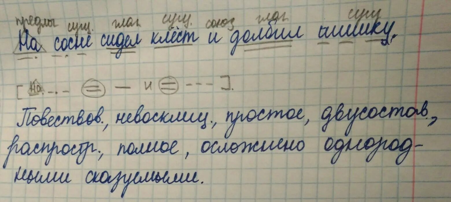 Сидели синтаксический разбор. Синтаксический разбор предложения шишка. клестов по членам предложения. синтаксический разбор на сосновой ветке. белка синтаксический разбор.