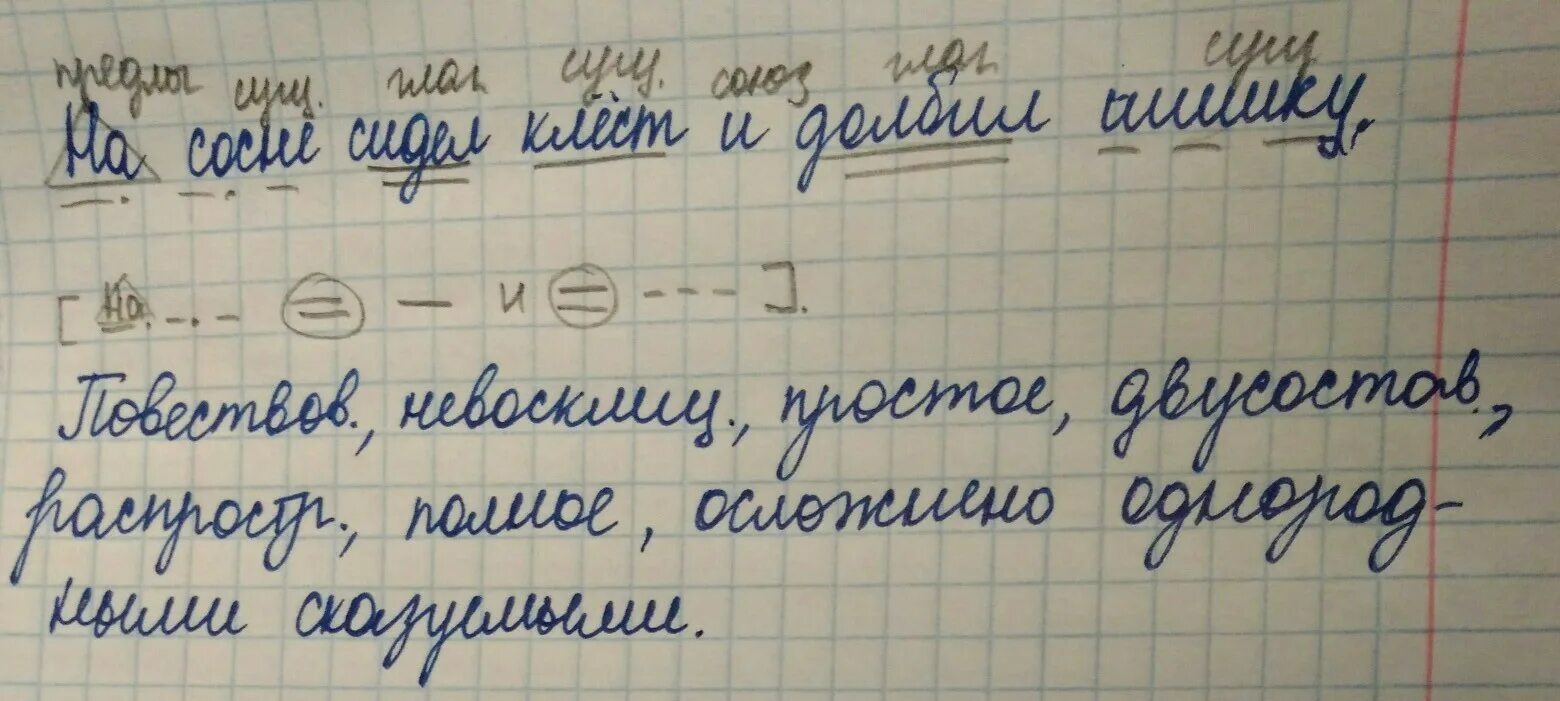 Поляну большими скачками пересекала белка 4. Синтаксический разбор предложения. Разбор шишка синтаксический разбор. Синтаксический разбор предложения шишка. Синтаксический разбор предложения на сосновой ветке Белочка сидит.