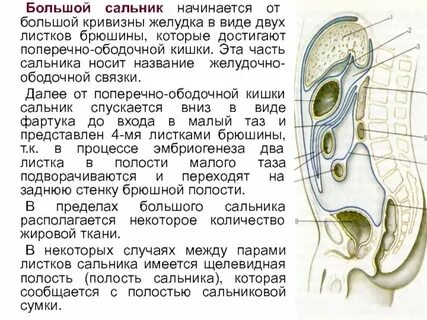 Удаление сальника у женщин