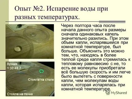 Дерево находится в состоянии при комнатной температуре