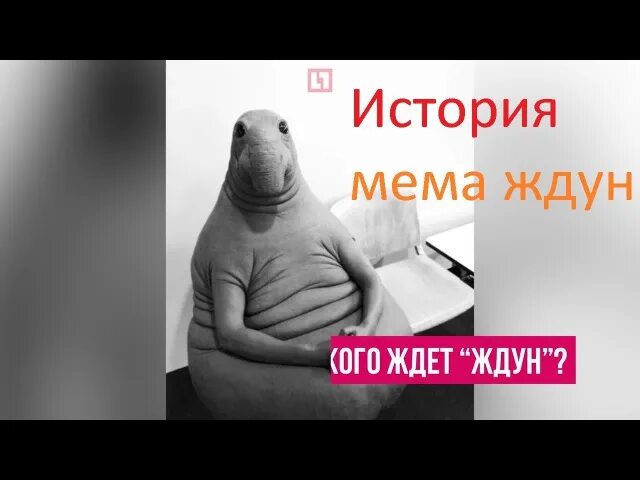 История мема Ждун. Поза Ждуна. Ждун заставка. Ждун прикольный. Ли ждун