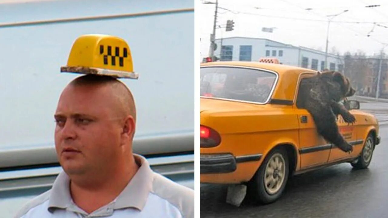 Смешные таксисты. Шашки такси на голове. Прикольный таксист. Такси картинки.