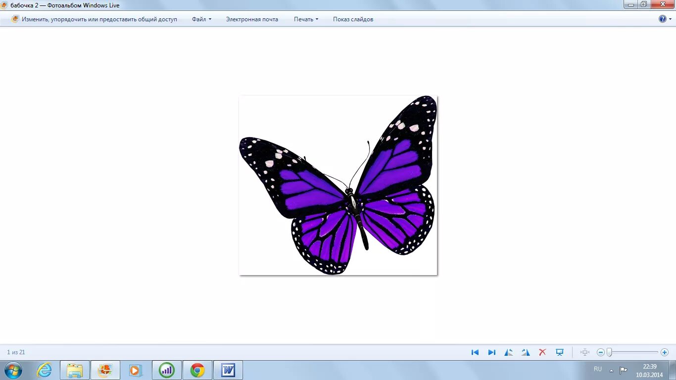 Бабочка нарисованная в паинте. Прозрачный фон в паинте. Рисунки в пейнте красивые. Рисунок бабочки в паинте.