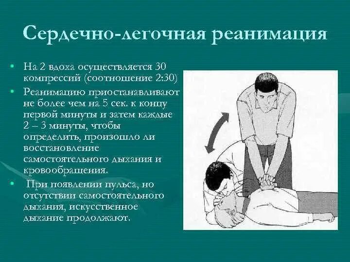 Легочно сердечная реанимация обучение. СЛР алгоритм. Сердечно легочная реанимация 2 вдоха 30. Сердечно-легочная реанимация 30 к 2. Соотношение компрессий и вдохов при проведении СЛР двумя спасателями.