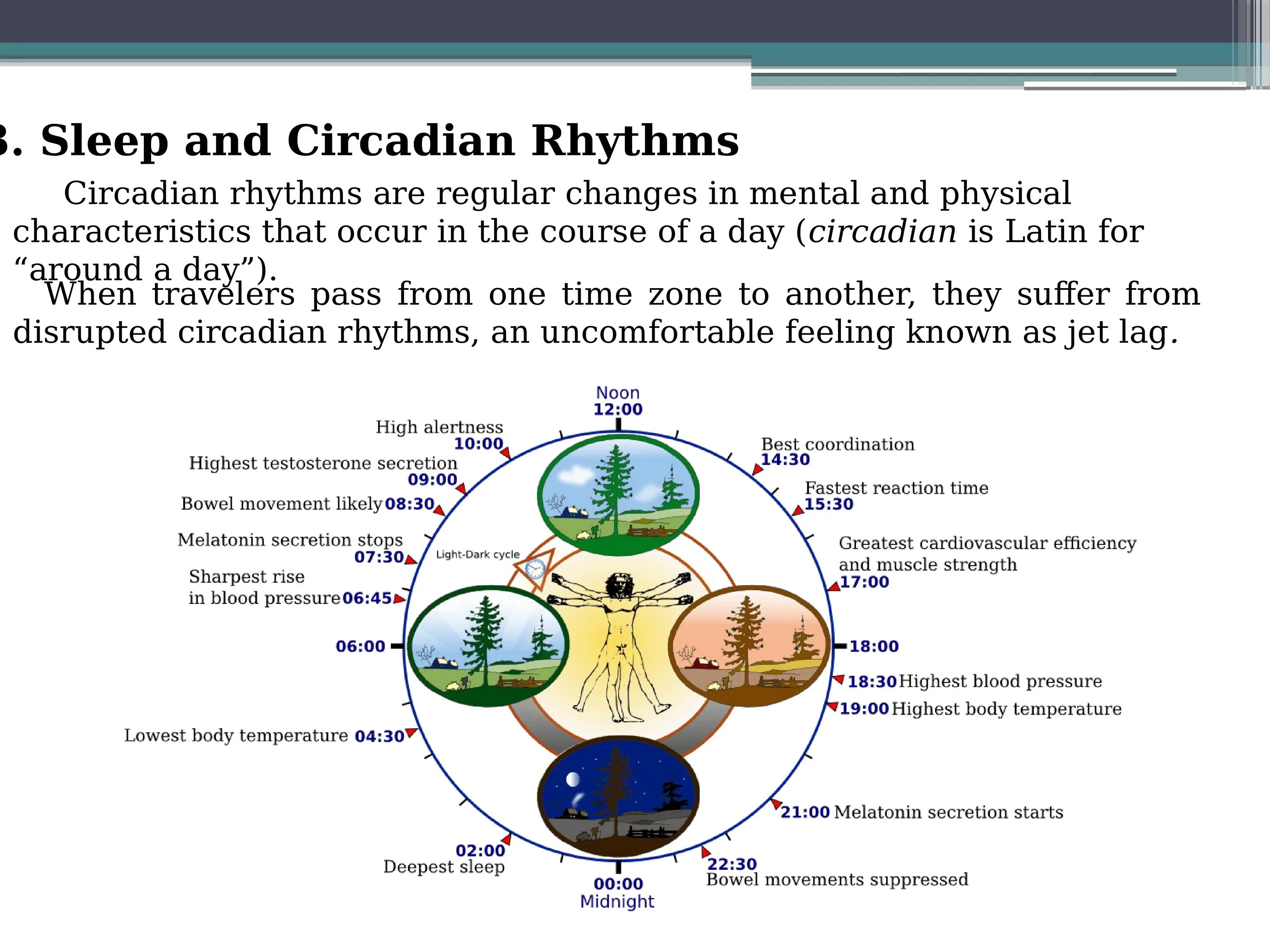 Circadian Rhythm перевод. Circadian Sleep Life Extension. Circadian Rhythm Disorders meme. Sleeping Schedule Circadian Rhythms.