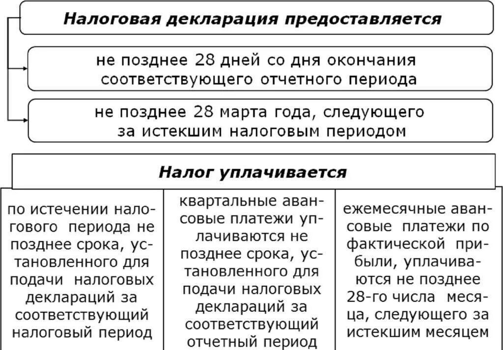 Налоговых деклараций по налогам и сборам. Порядок составления налоговой отчетности. Порядок и сроки уплаты налога на прибыль. Порядок представления налоговой декларации. Виды налоговых деклараций.