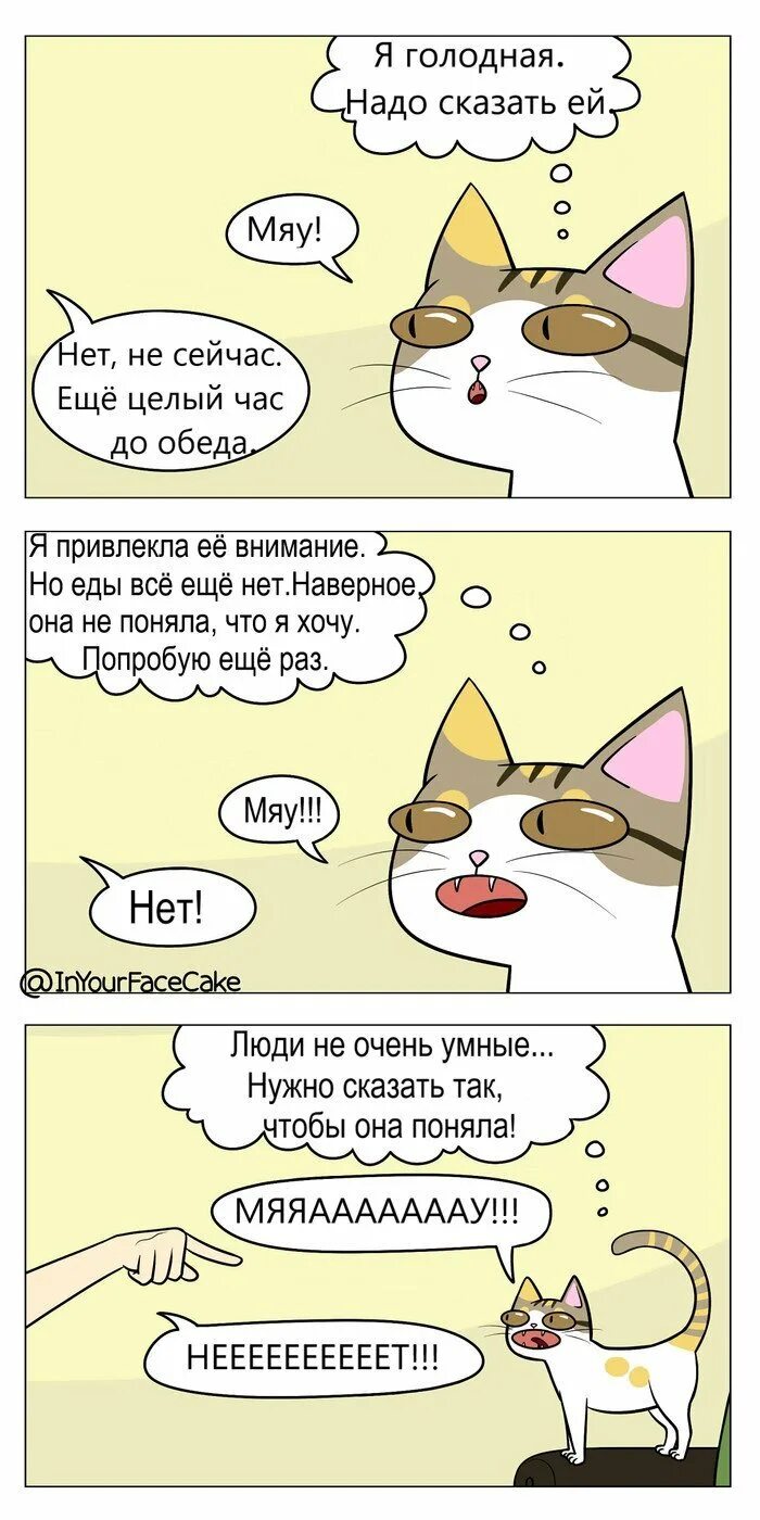Комиксы 10+. Комиксы про жизнь с котом. Милые комиксы про котиков. Комиксы про животных. Кот из комиксов.