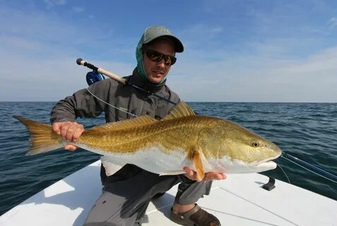 Fishing top
