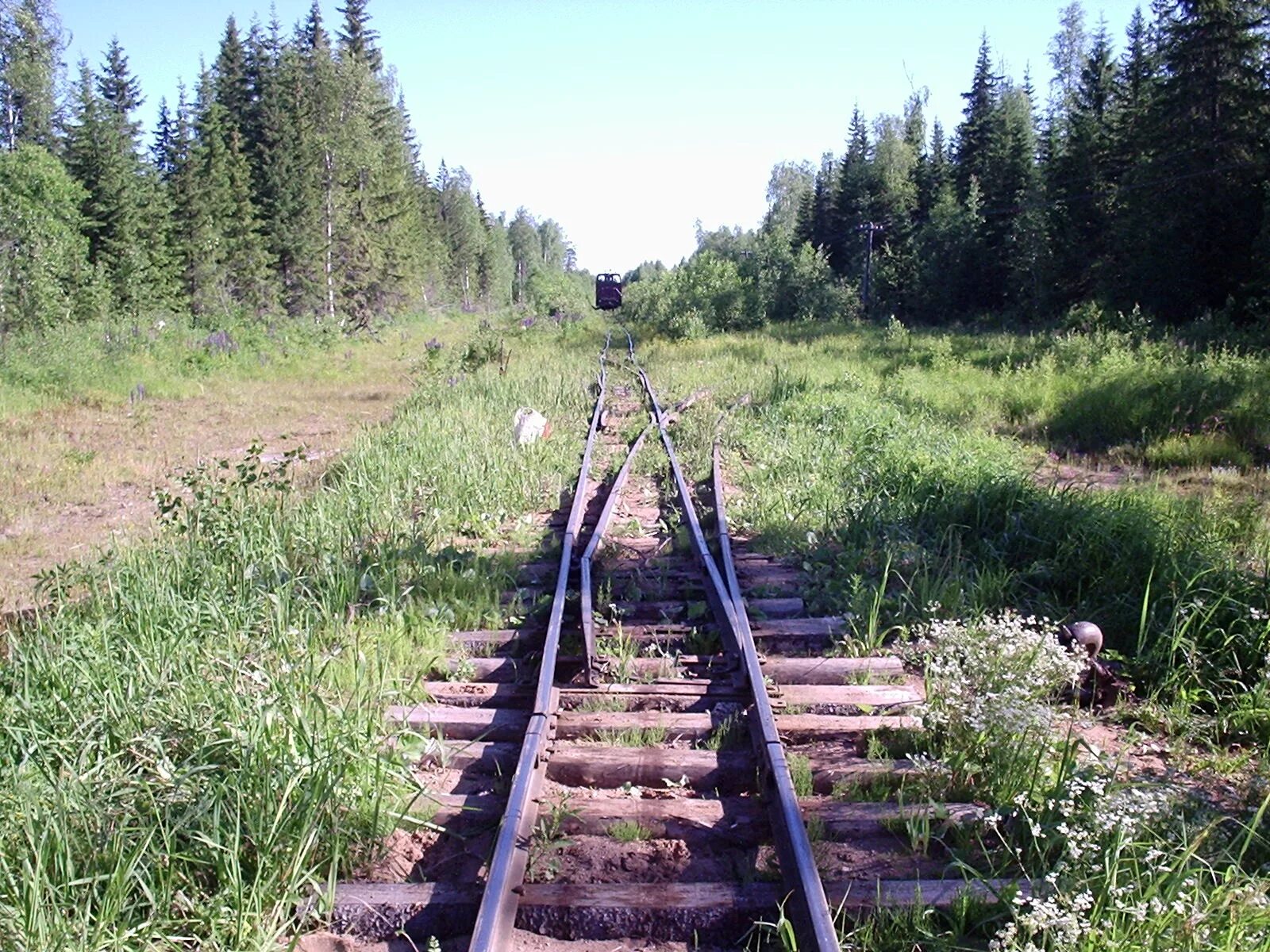 Орудьевская ужд. Узкоколейная железная дорога север россии. Узкоколейная железная дорога вологда кириллов. Узкоколейка алапаевск. Станция деревянка узкоколейная железная дорога.