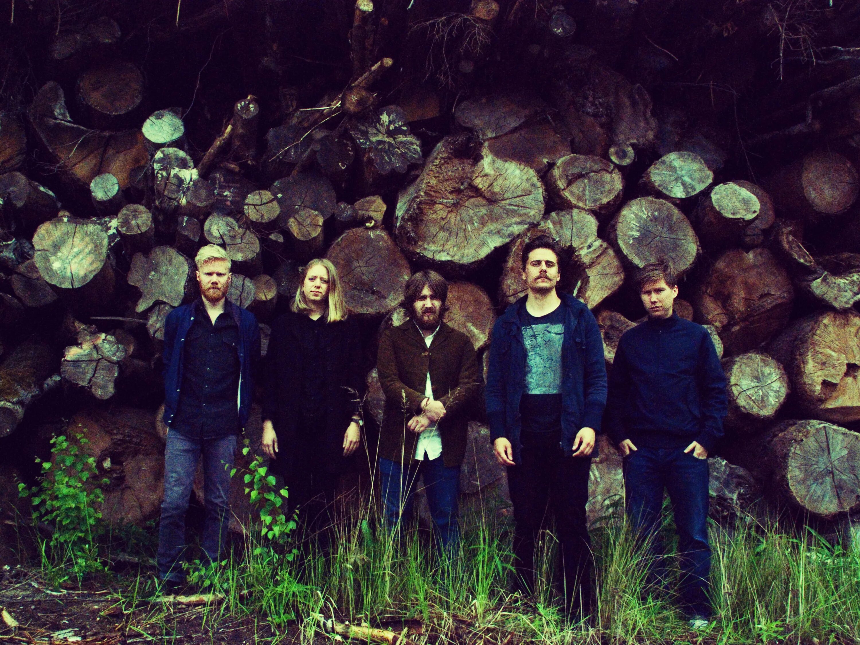 Moose группа. In the Woods группа. Много музыкантов в лесу. Swedish Band. Группа лес песни