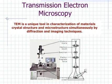 Transmission microscopy