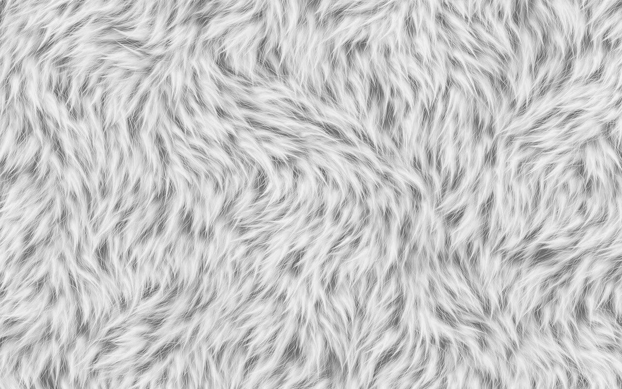 Cat texture