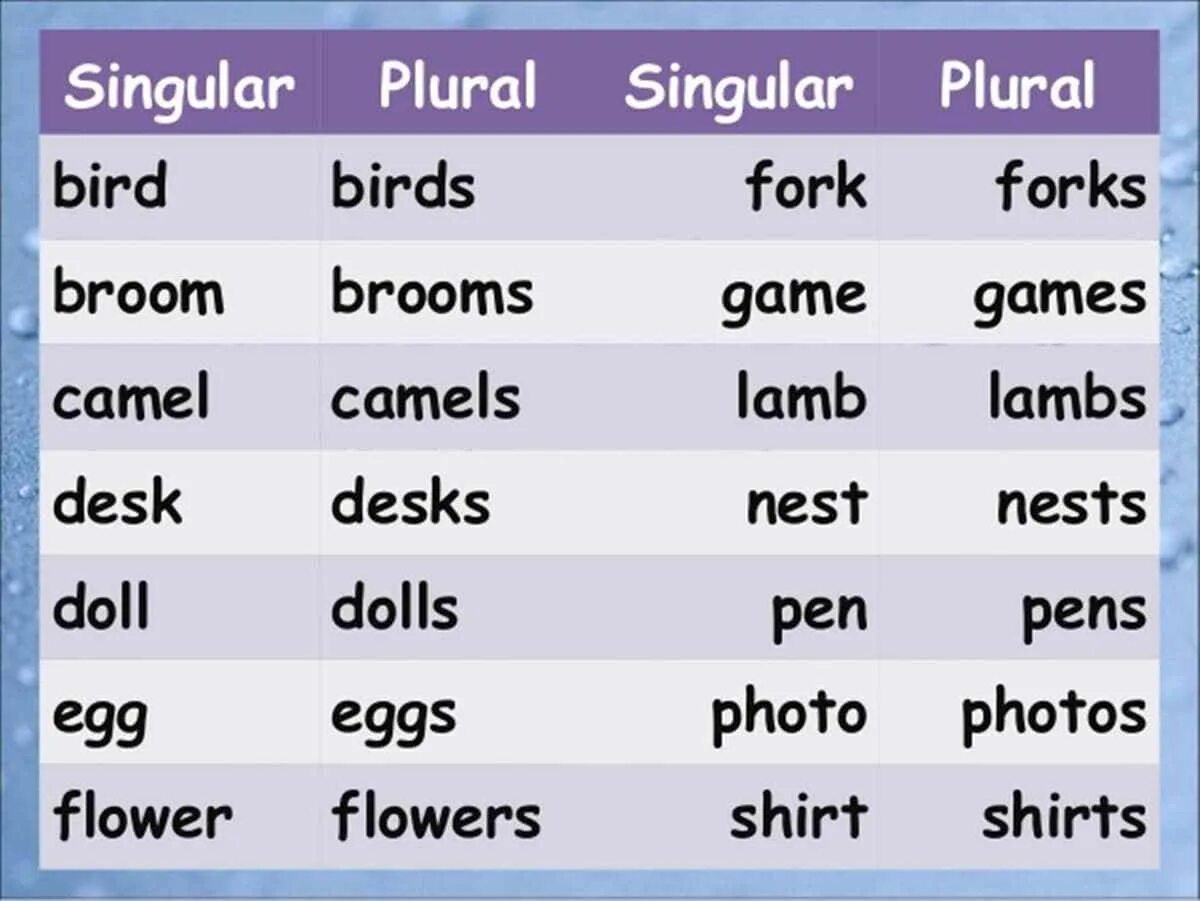 Singular plural. Singular and plural Nouns. Noun singular and plural правило. Singular Nouns. Dish plural