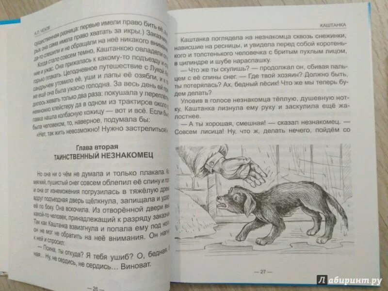 Содержание белолобый чехова. Рассказ белолобый. Белолобый Чехов. Пересказ белолобый. Краткий пересказ белолобый.