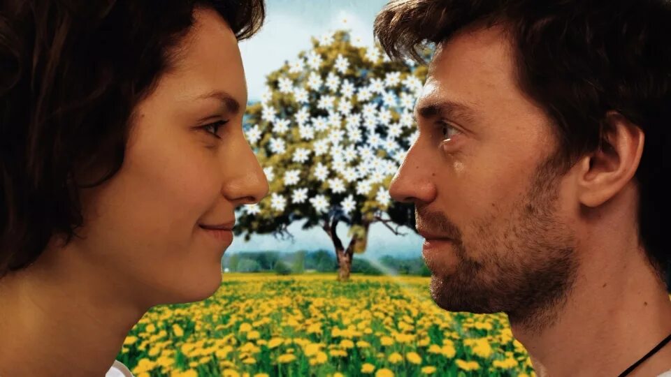 Перезагрузка на тнт ведущие. Преображение магнитогорск тв ин. Тв преображение. Тв преображение. Елена рыбалко утомленные солнцем.