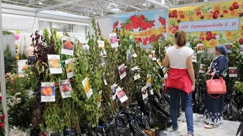 Выставка саженцев краснодар