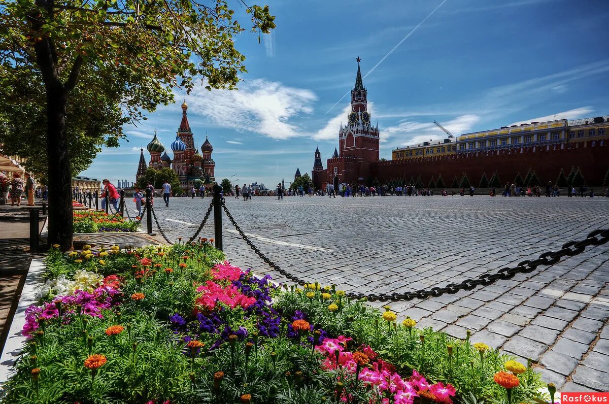площадь весенняя. красная площадь весной. кремль весна. цветочная выставка в москве на красной площади. кремль весна.