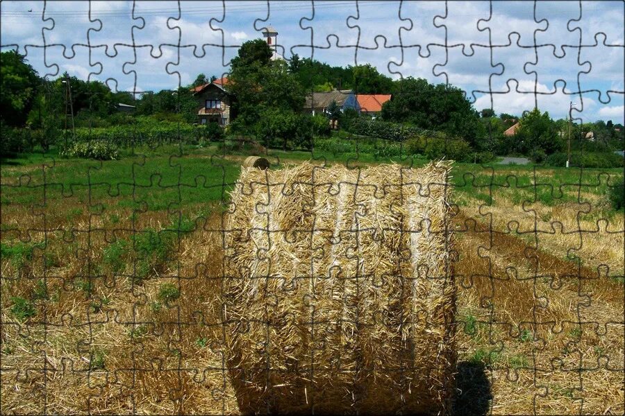 Куст соломы. Куст соломы