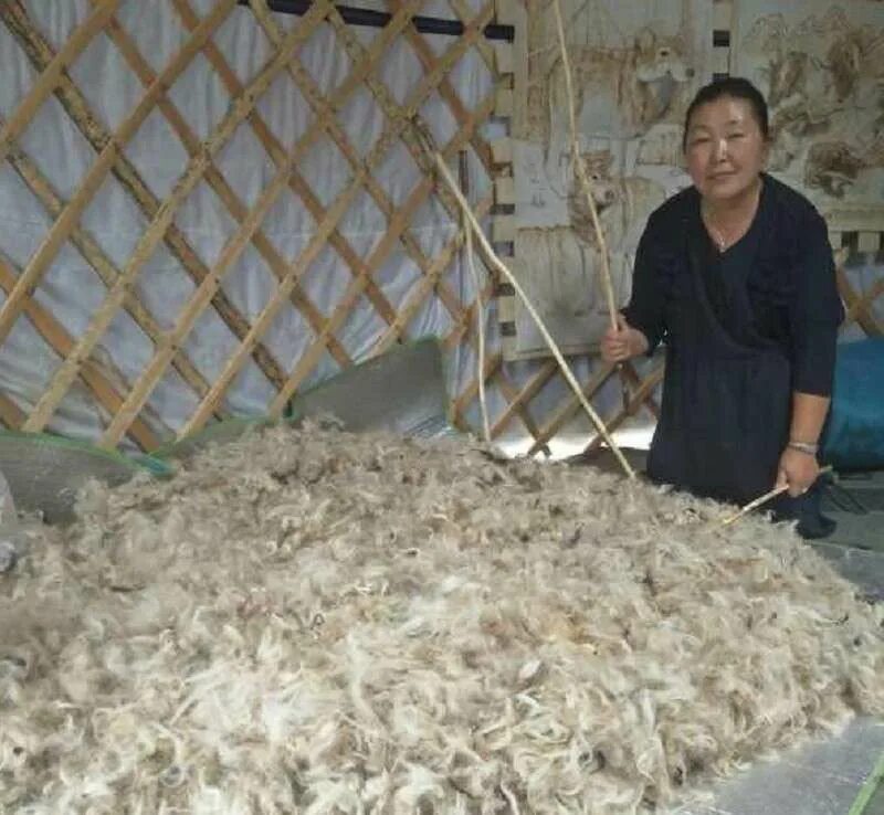 Мытье шерсти. Мытье овечьей шерсти. Переработка шерсти овец. Обработка шерсти овец. Выделка шерсти