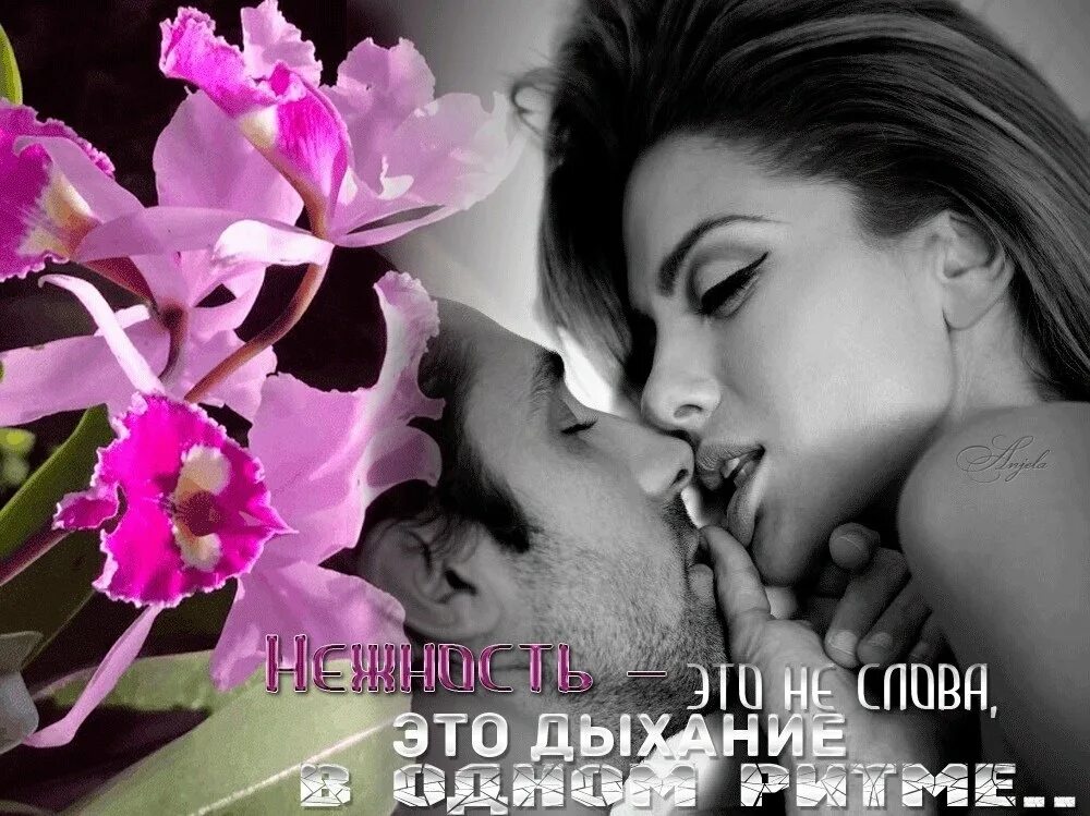 Нежная любовь. Любовь и нежность. Плейкаст с любовью и нежностью. Открытки о нежности. Нежная моя женщина.