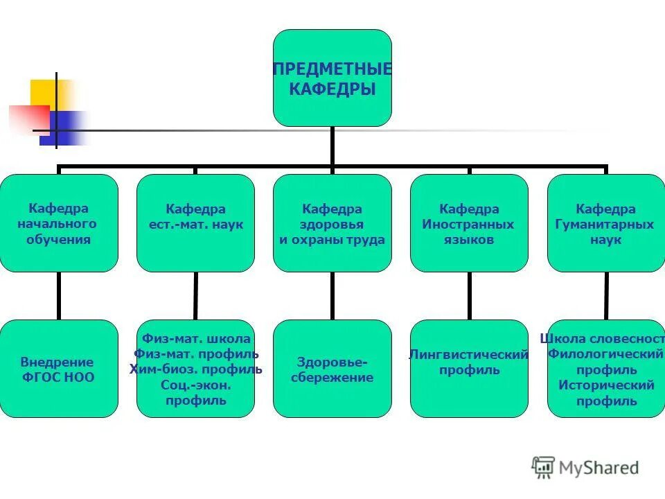 Ростгму строение карта. Структура высшего учебного заведения. Факультеты бывают. Управленческая структура университета. Виды кафедр в вузе.