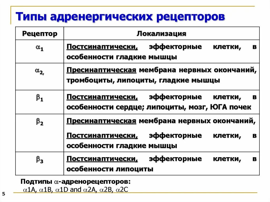 Эффекты альфа адренорецепторов. Расположение бета 2 адренорецепторов. Локализация а2 адренорецепторов. Адренорецепторы классификация и характеристика. Пресинаптические бета 2 адренорецепторы.