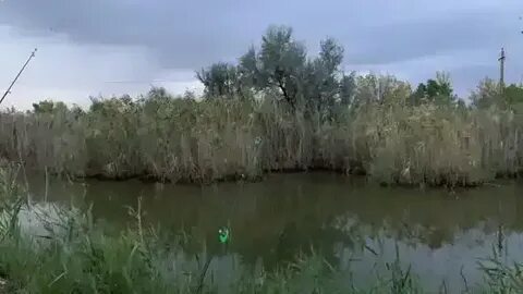 Парк киммерия береговая ул 62 село кулешовка