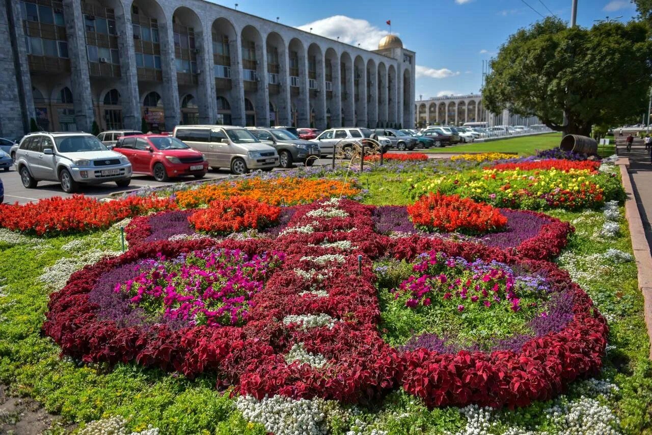 Клумба в сентябре. Мэрия города бишкек цветы. цветники бишкека. цветы для городских клумб. цветы на клумбах города.