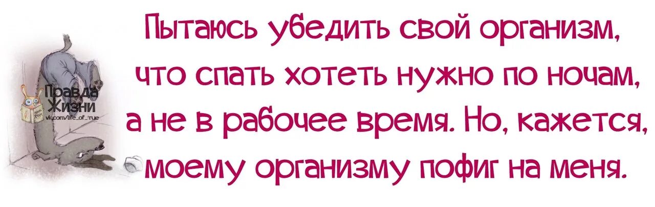 Что делаешь почему не спишь. Когда хочется спать наиработе. Статус хочу спать. Картинки когда хочется спать. Хочу спать на работе прикольные картинки.