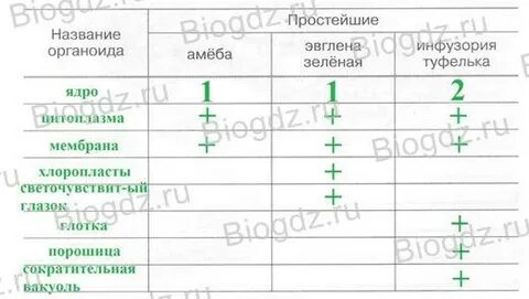 Сходство и различие простейших таблица 7 класс